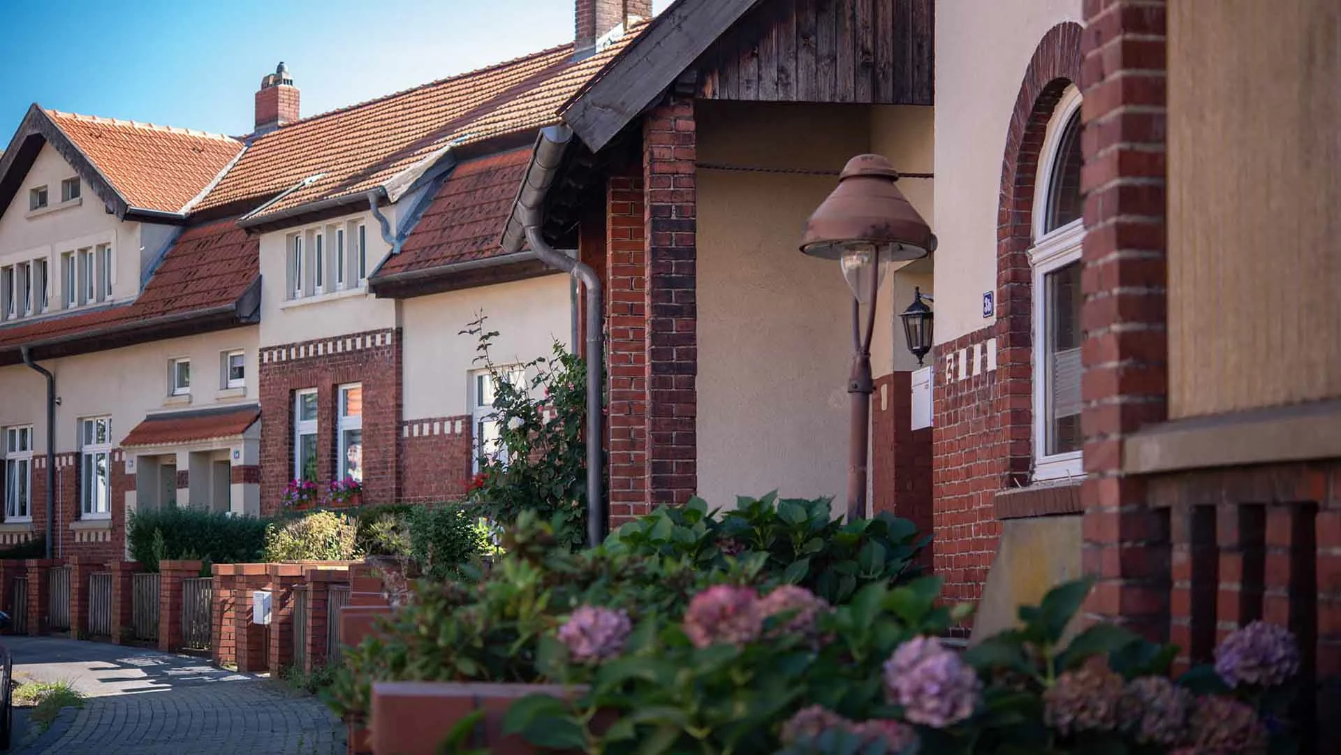 Straßenansicht in einem VIVAWEST-Quartier in Gelsenkirchen-Buer. Im Vordergrund sind die Vorgärten der Häuser mit rosafarbenen Blumen und grünen Büschen zu sehen. Sie werden von einem Zaun begrenzt, der aus rotem Klinker besteht. Die Fassaden der Häuser bestehen ebenfalls aus rotem Klinker und weißem Putz. 