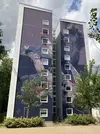 Fassade Haus 75