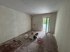 Wohnzimmer/Schlafzimmer