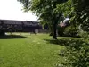 Gemeinschaftswiese hinter dem 