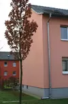 Seitenansicht