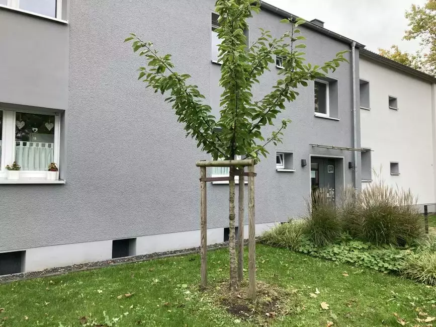 Straßenansicht