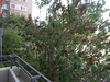 Blick vom Balkon
