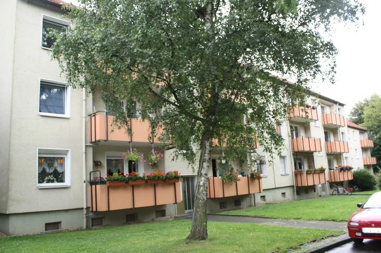 Marmelshagen 6