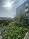 Hauszuweg