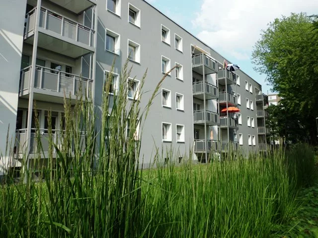 Objektansicht hinten