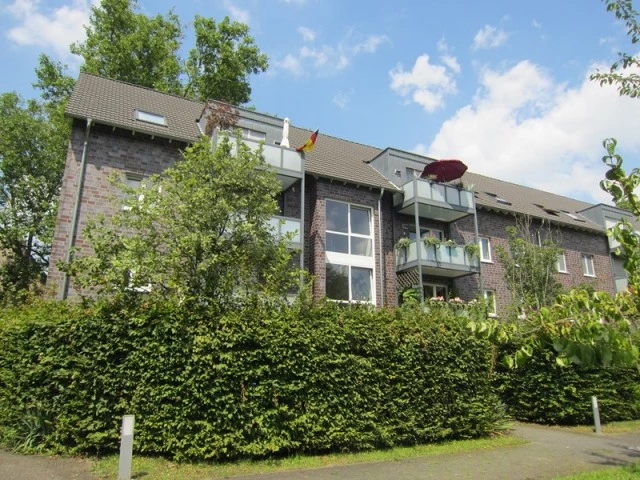 Rückseite