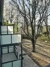 Balkone hinter den Häusern