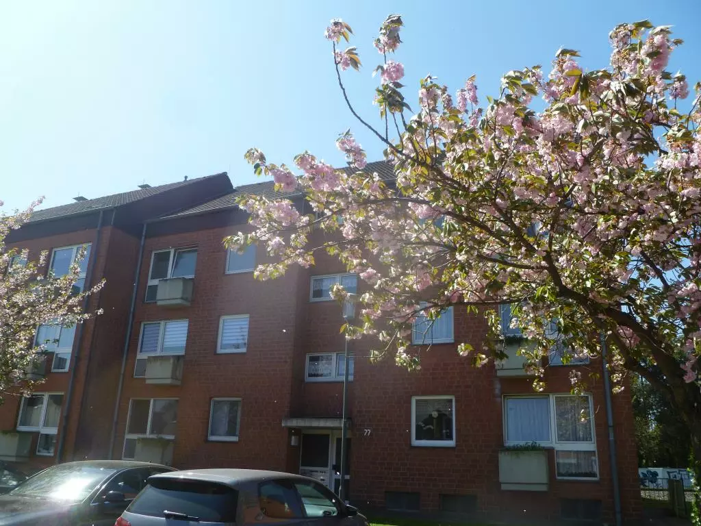 Viehaustraße 75, 52477 Alsdorf - Foto 2
