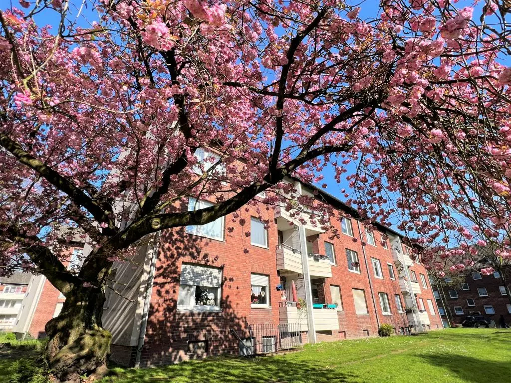 Ahrstraße 24, 47139 Duisburg - Photo 4