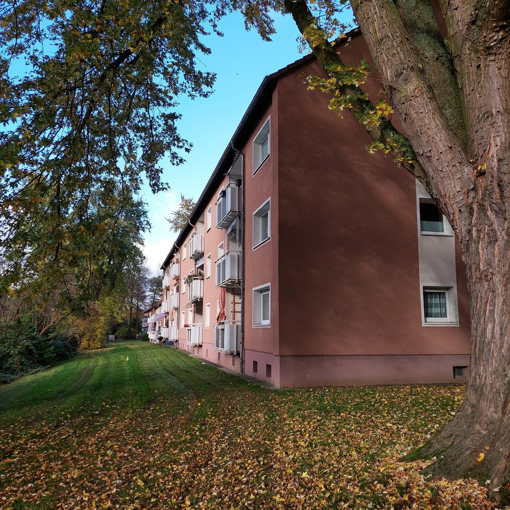 Bringen Sie Ihr Herz mit, es wird sich wohlfühlen! – Foto 2