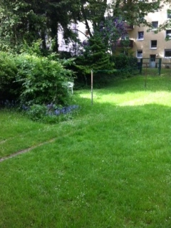 Leipziger Straße 38, 45881 Gelsenkirchen - Foto 3