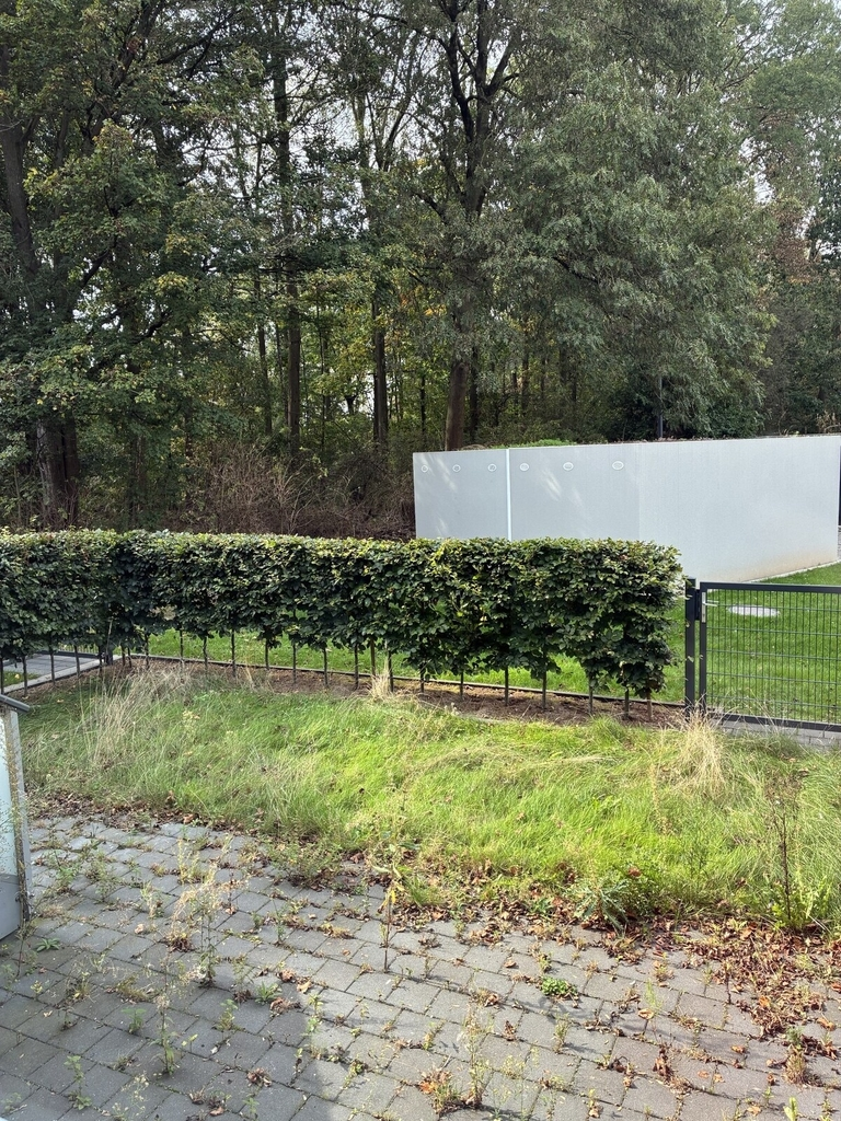 Neißestraße 9, 47829 Krefeld - Photo 2